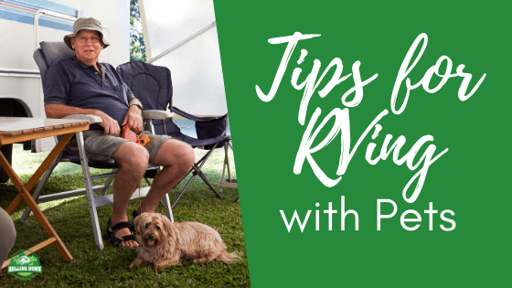 Tips for RVing with Pets (1)